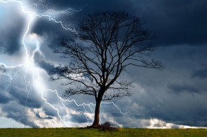 tree-and-storm-2